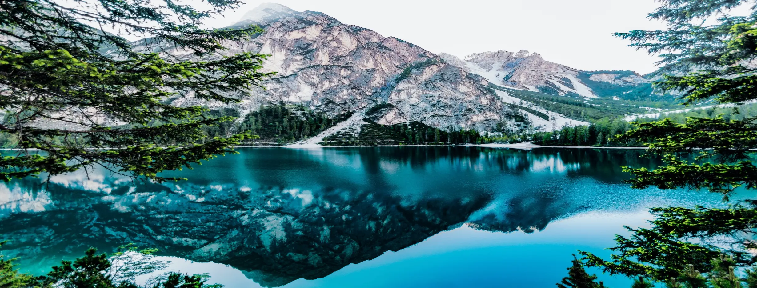 Image for Natural Beauty